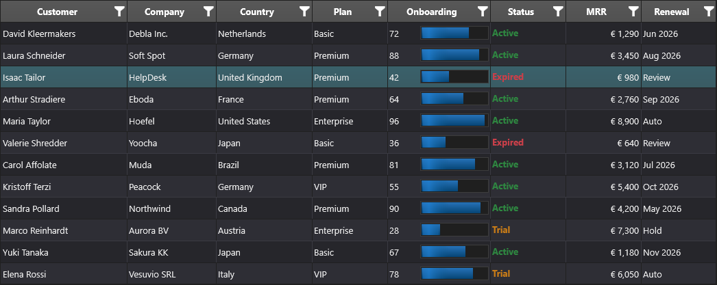 Populated DataGrid with headers and sample rows