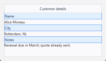 A panel titled Customer details with branded blue section bands for Name, City and Notes, each holding its own content