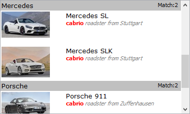 Dual-column list with description search